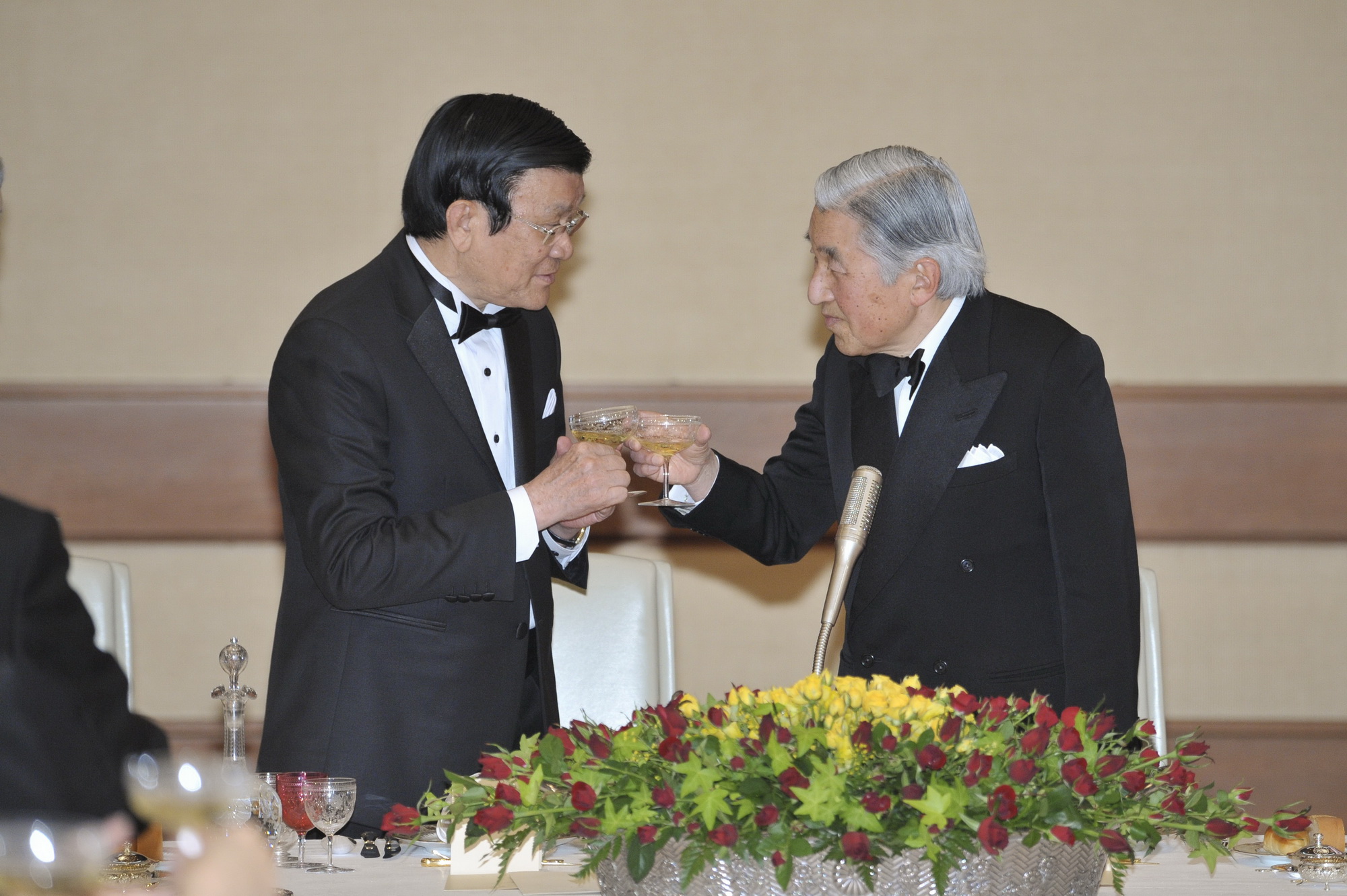 Nhật Hoàng Akihito tiếp Chủ tịch nước Trương Tấn Sang  tháng 13/2014. (Nguồn: Bộ Ngoại giao Nhật Bản)