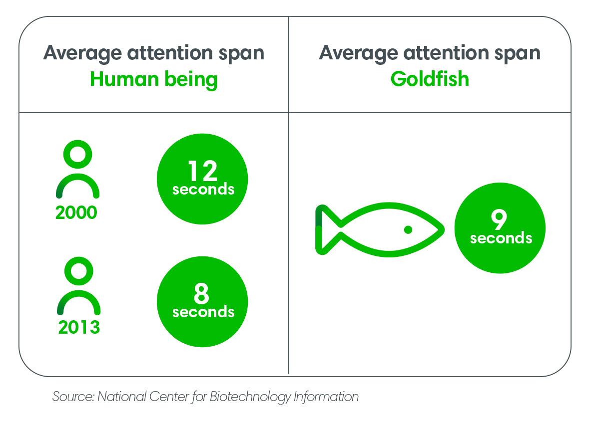 Thời gian chú ý của con người hiện nay chỉ là 8 giây, tương đương với thời gian chú ý của... cá vàng