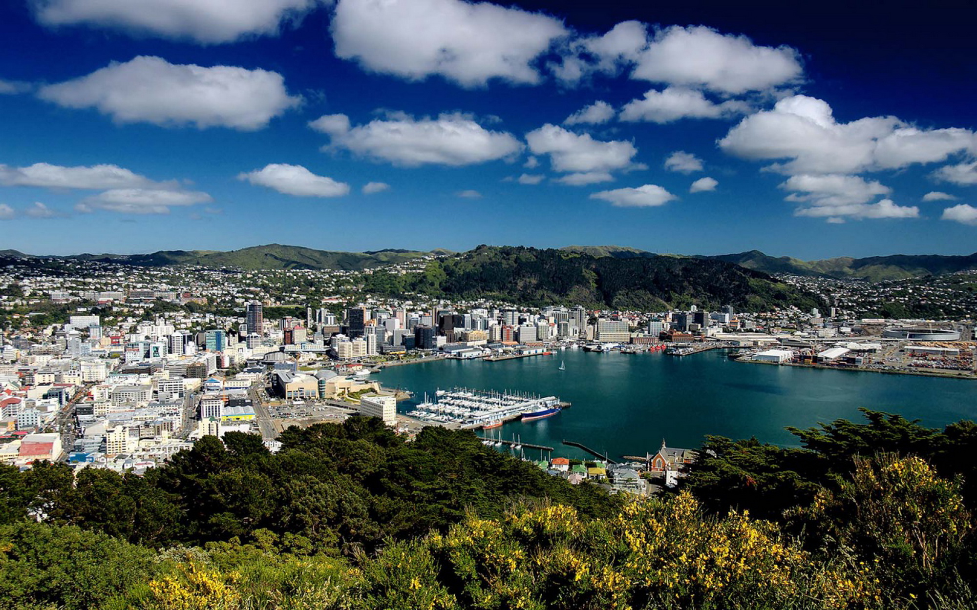 Toàn cảnh thành phố Wellington (Ảnh: Lê Hồng Lâm)