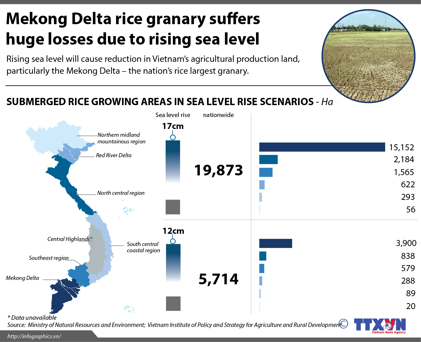 Sea level rise impacts on Vietnam’s agriculture (Infographic: VNA)