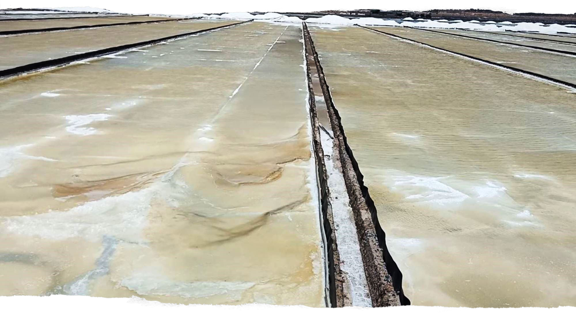 Cánh đồng muối tại thôn Quán Thẻ có diện tích 2.510 ha, công suất hơn 300.000 tấn muối/năm, tổng mức đầu tư hơn 1.344 tỷ đồng. (Ảnh: Hùng Võ/Vietnam+)