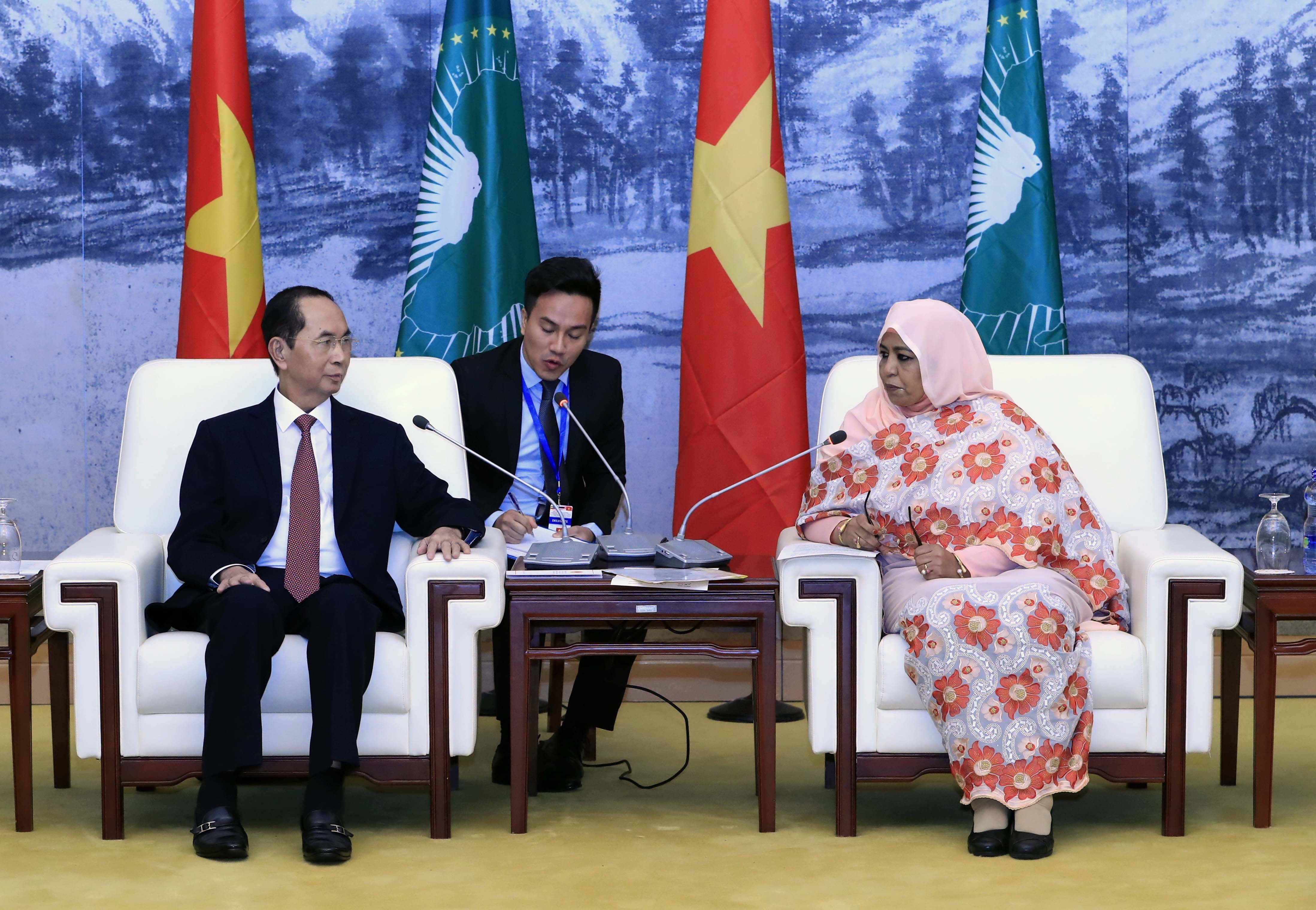 Le chef de l’État vietnamien a eu une entrevue avec Amira Elfadil Mohammed Elfadil, présidente p.i de la Commission de l’Union africaine.Photo: VNA