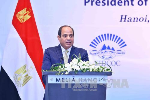Le président égyptien Abdel Fattah al-Sissi s’exprime lors du Forum d’affaires Vietnam-Egypte organisé en juillet 2017 à Hanoï. Photo:VNA