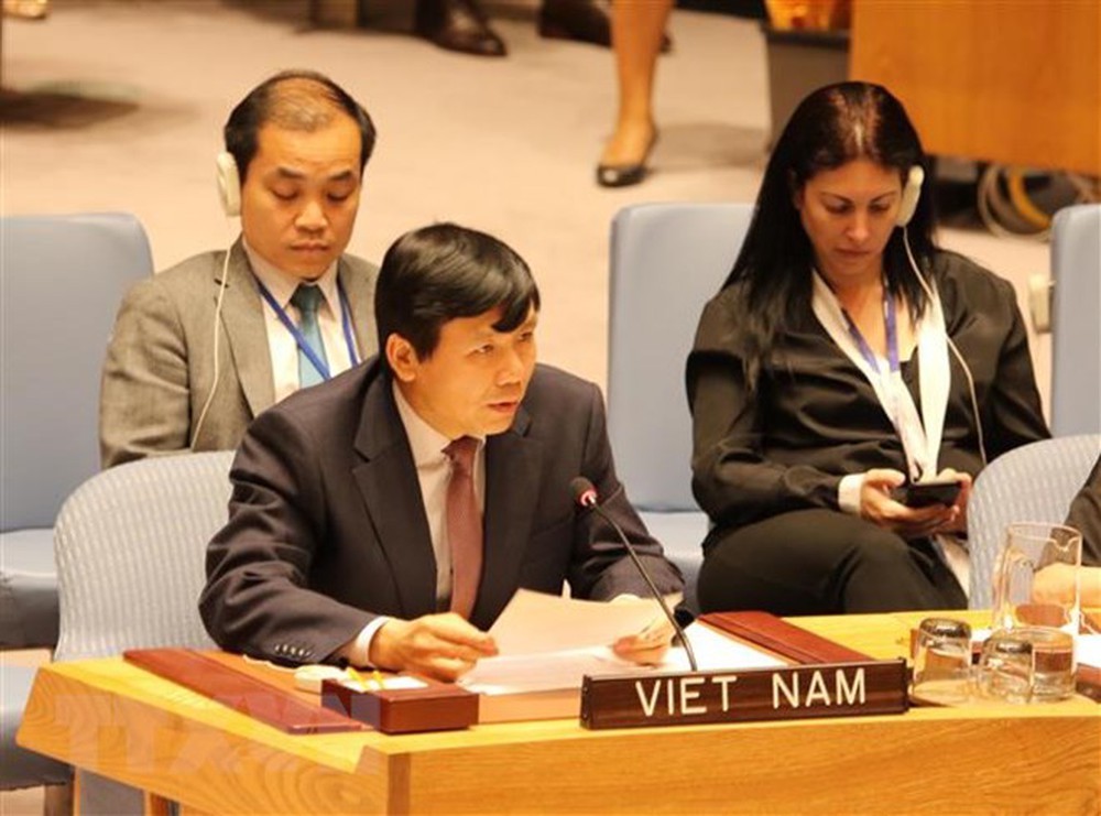 El embajador Dang Dinh Quy asiste a una reunión de las Naciones Unidas. (Fuente: VNA)