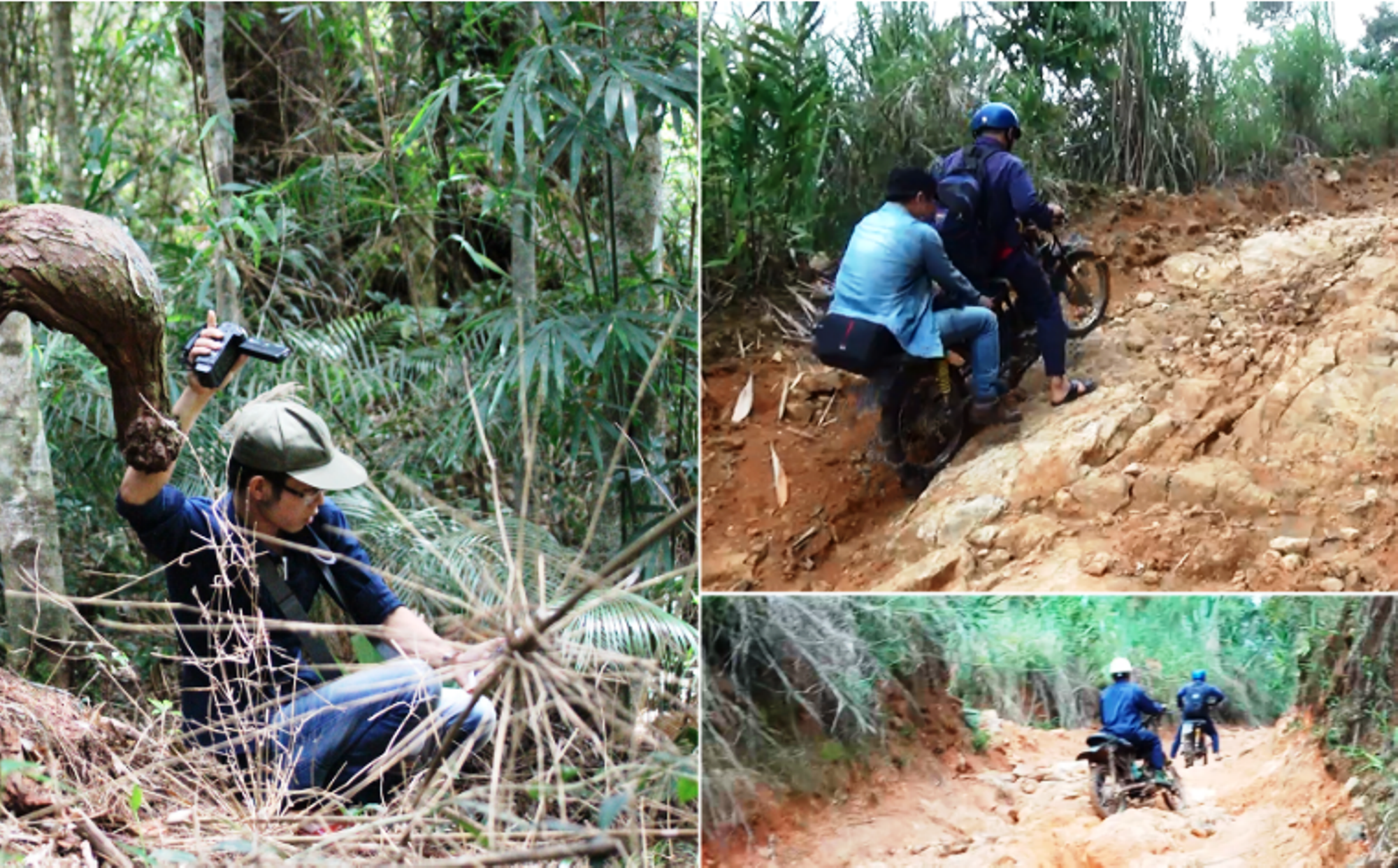 Hành trình tiệm cận điểm nóng phá rừng vô cùng gian nguy của phóng viên. (Ảnh: Vietnam+)