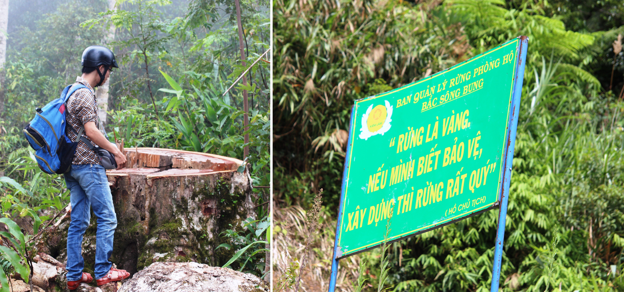 Để có thể tiếp cận được sào huyệt phá rừng này, nhóm phóng viên mất nhiều ngày dò hỏi, nắm bắt tình hình. (Ảnh: Vietnam+)