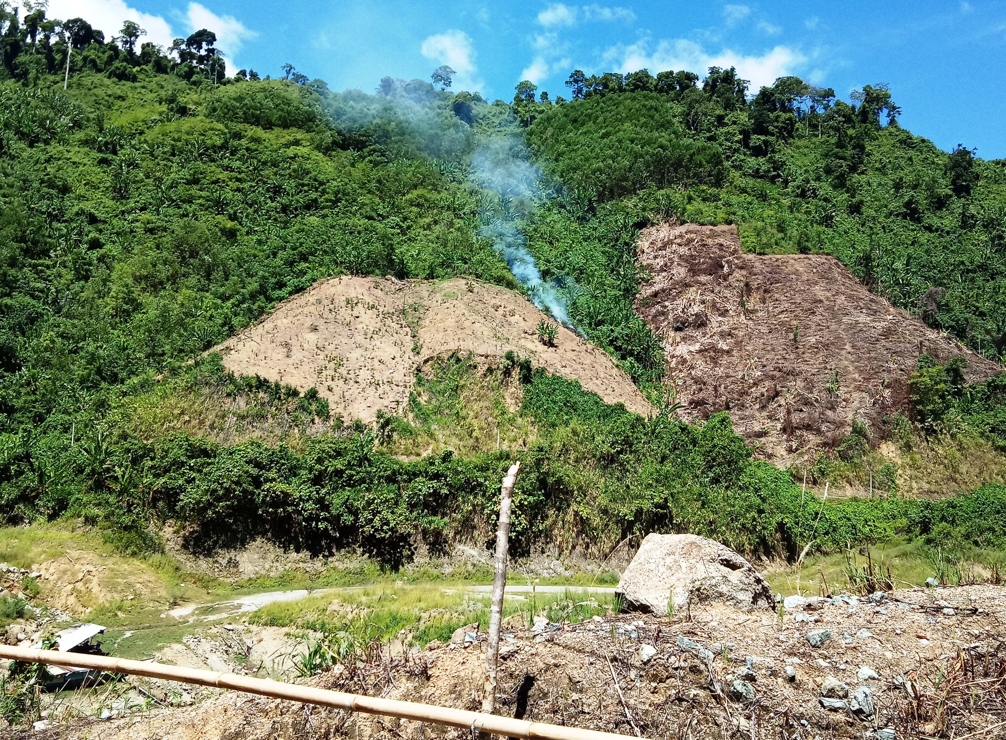 Hai bên lòng hồ thủy điện Sông Bung 4 tại huyện Nam Giang, tỉnh Quảng Nam bị đốt cháy, cạo trọc. (Ảnh: Vietnam+)