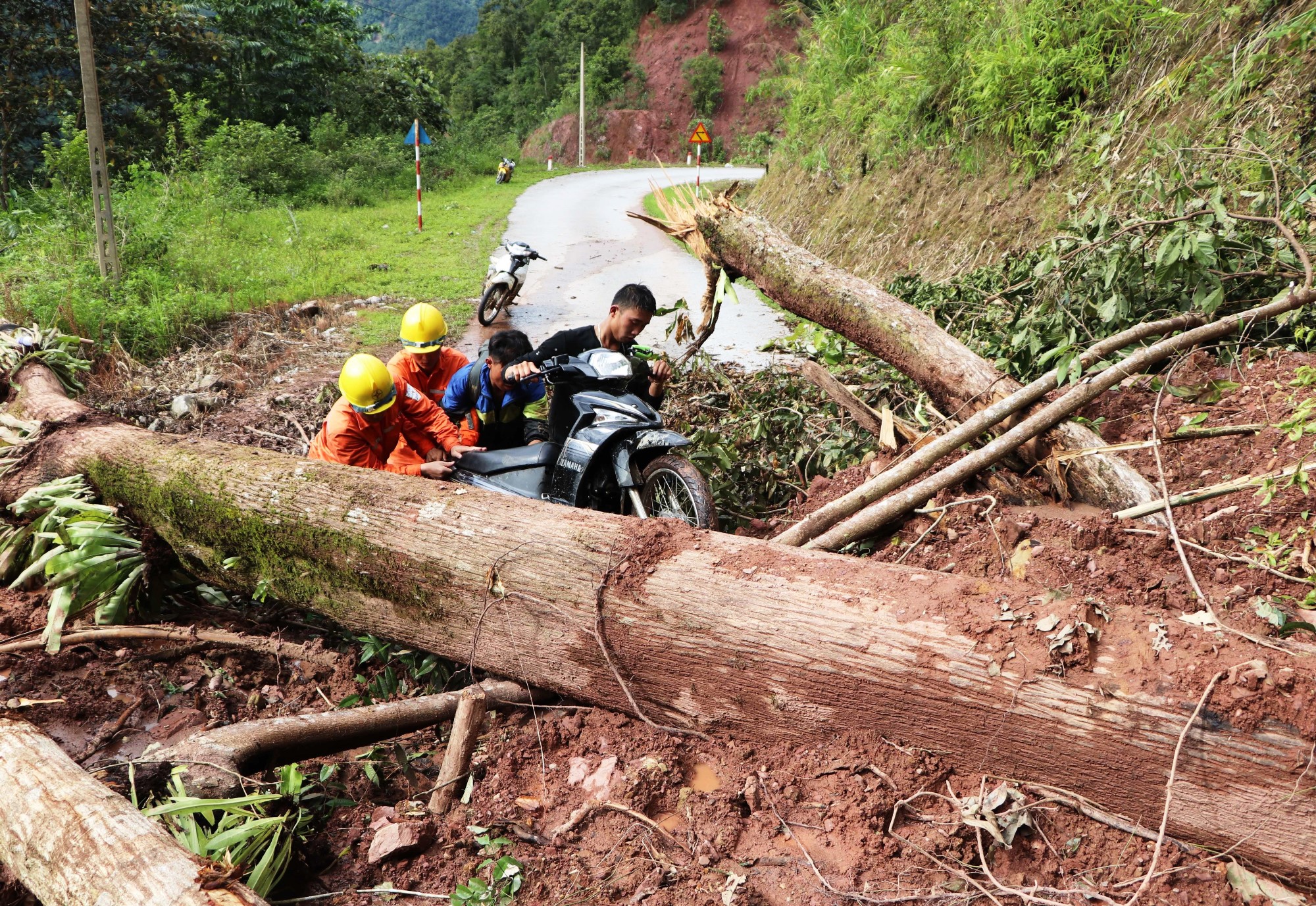 Vì sao lũ quét, sạt lở đất vẫn liên tiếp xảy ra tại các tỉnh mất rừng?. (Ảnh: TTXVN/Vietnam+)