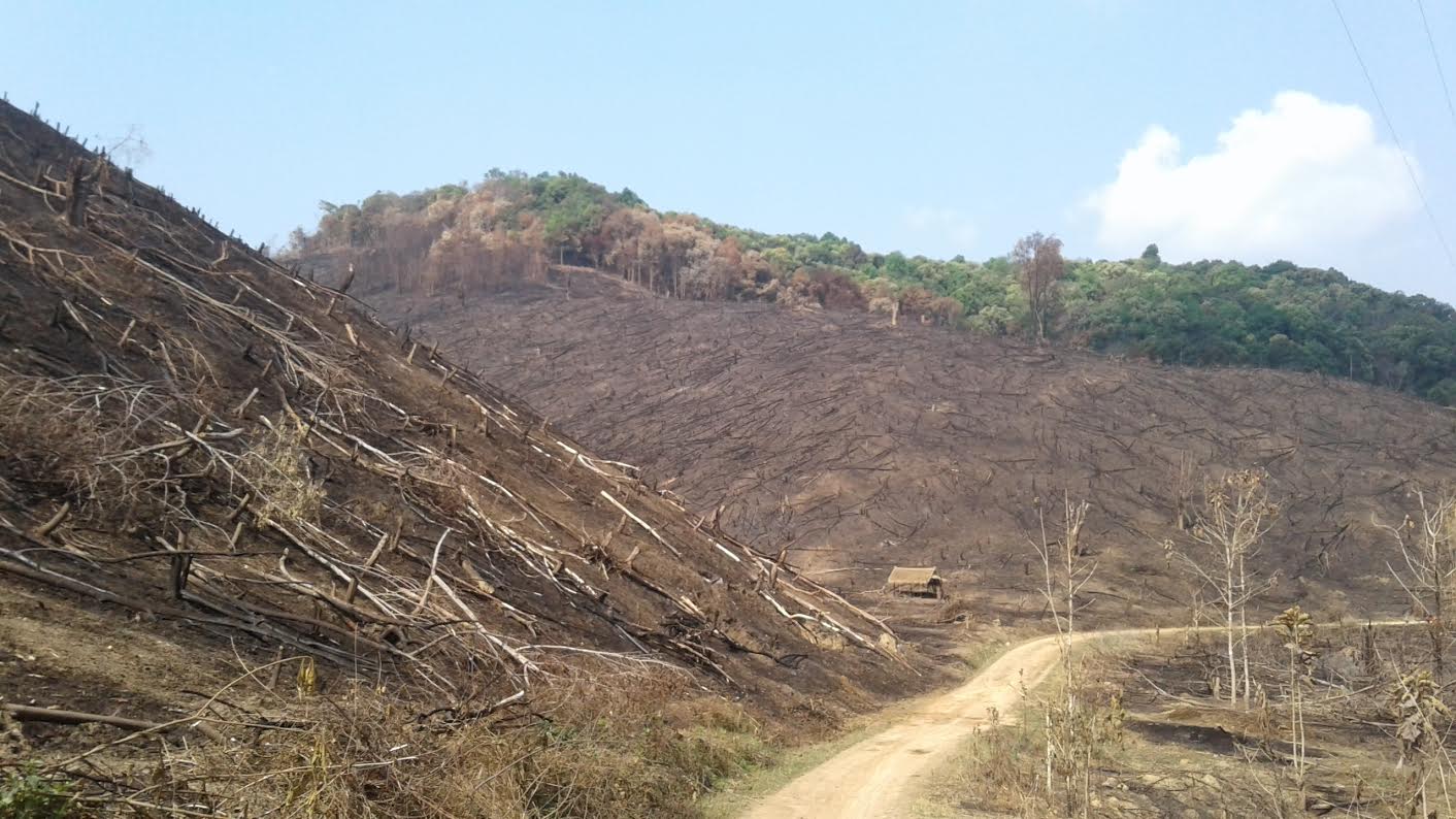 Nhiều nơi, rừng tự nhiên vẫn đang tiếp tục bị xâm lấn, đốt cháy để làm nương rẫy. (Ảnh: Vietnam+)