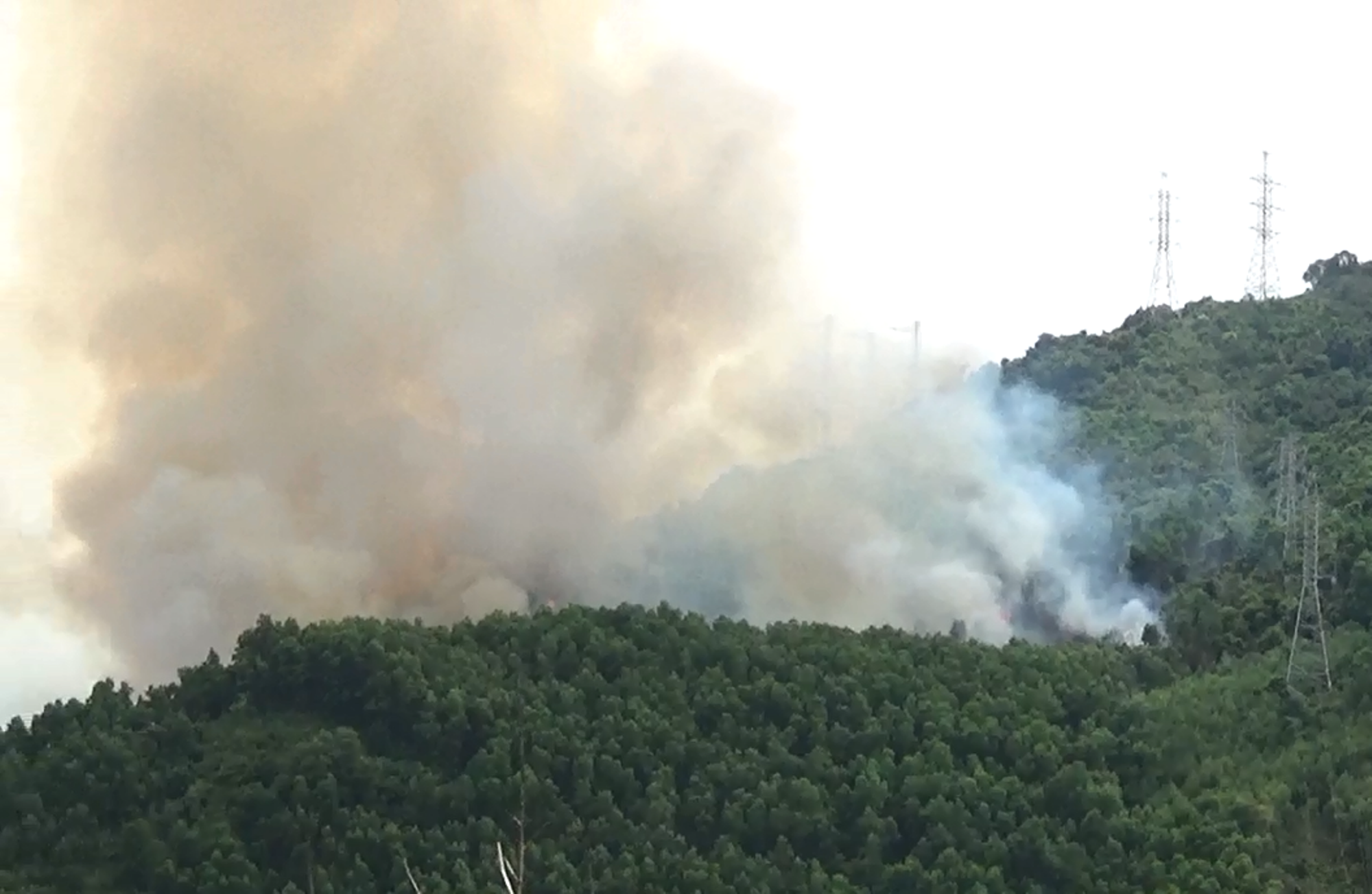 Một vụ cháy rừng diện rộng tại Huế trong tháng 7/2018. (Ảnh: Vietnam+)