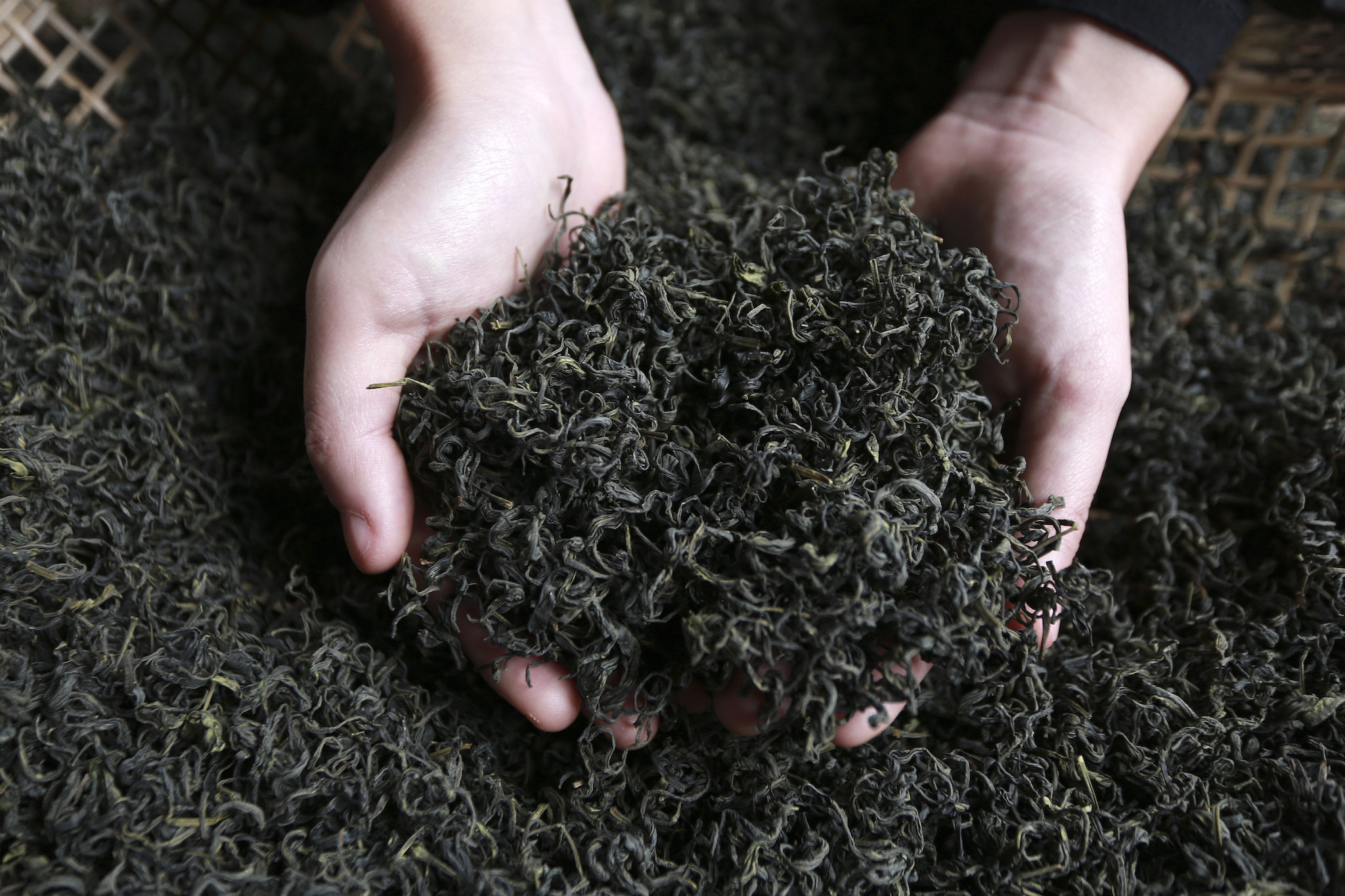 球江安全茶叶产品已远销全国各地。图自越通社