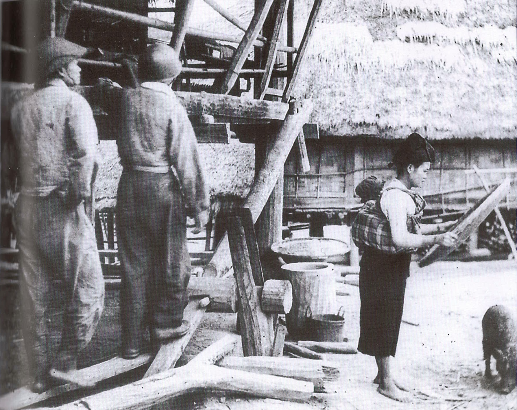 Bộ đội tình nguyện Việt Nam giã gạo giúp nhân dân Lào (1953).