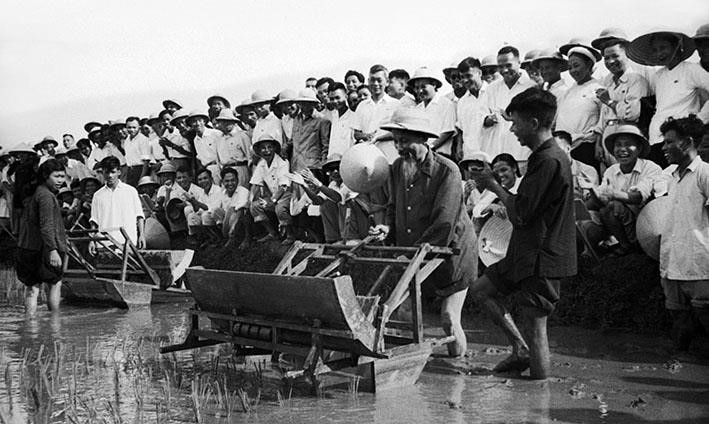 Chủ tịch Hồ Chí Minh đến thăm Sở Nông Lâm Hà Nội và sử dụng thử chiếc máy cấy tại ruộng thí nghiệm của Sở (7/1960). (Nguồn: Tư liệu TTXVN)