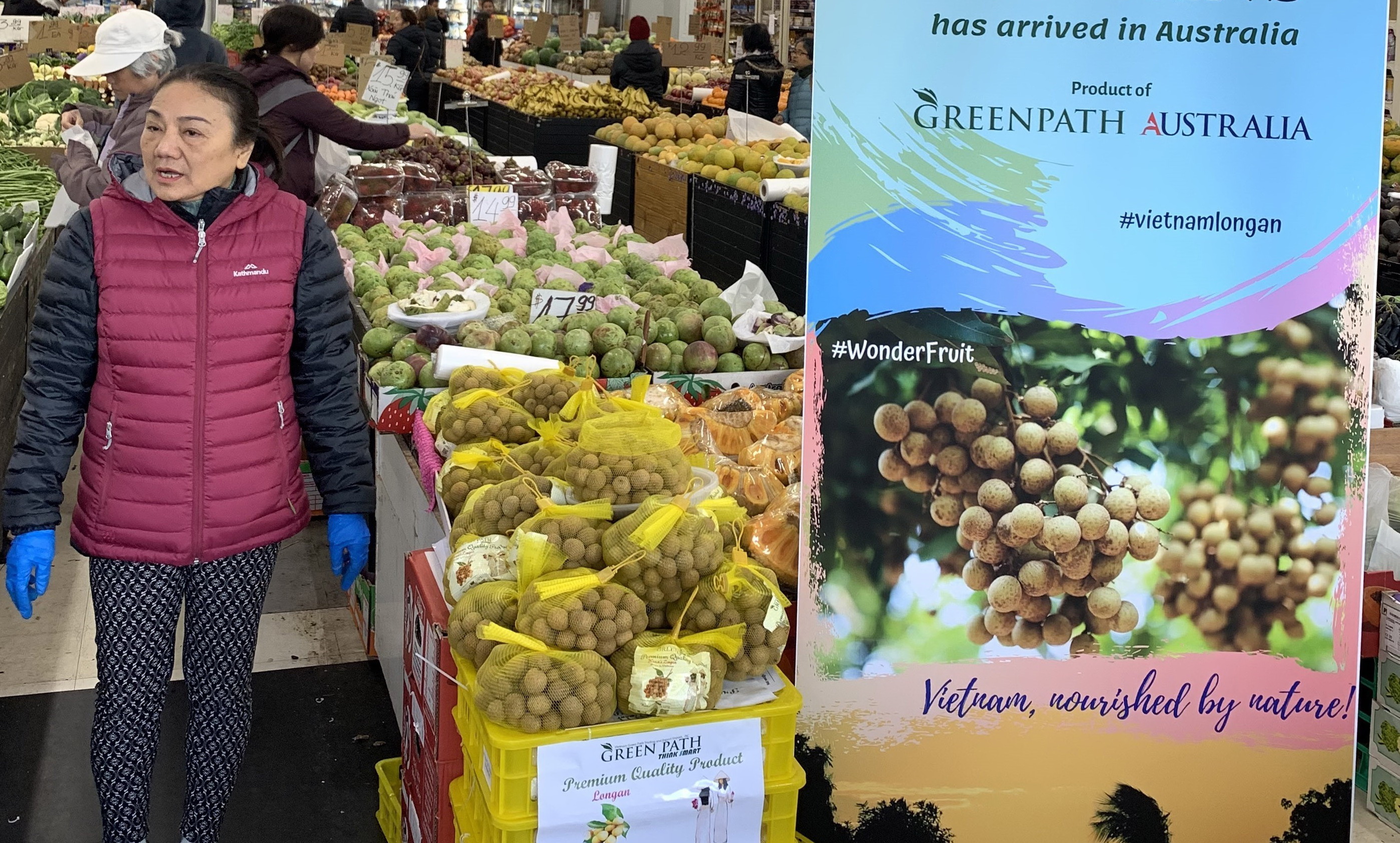 Vietnamese longan is sold in Australian market (Photo: VNA)