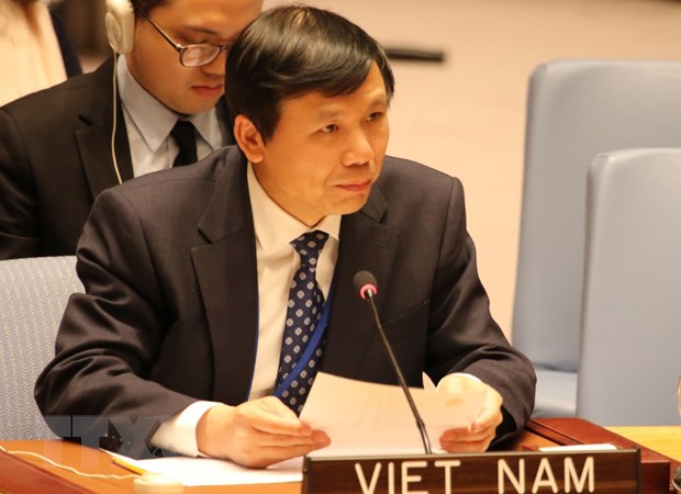 El embajador Dang Dinh Quy, jefe de la misión de Vietnam ante la ONU (Foto: VNA)