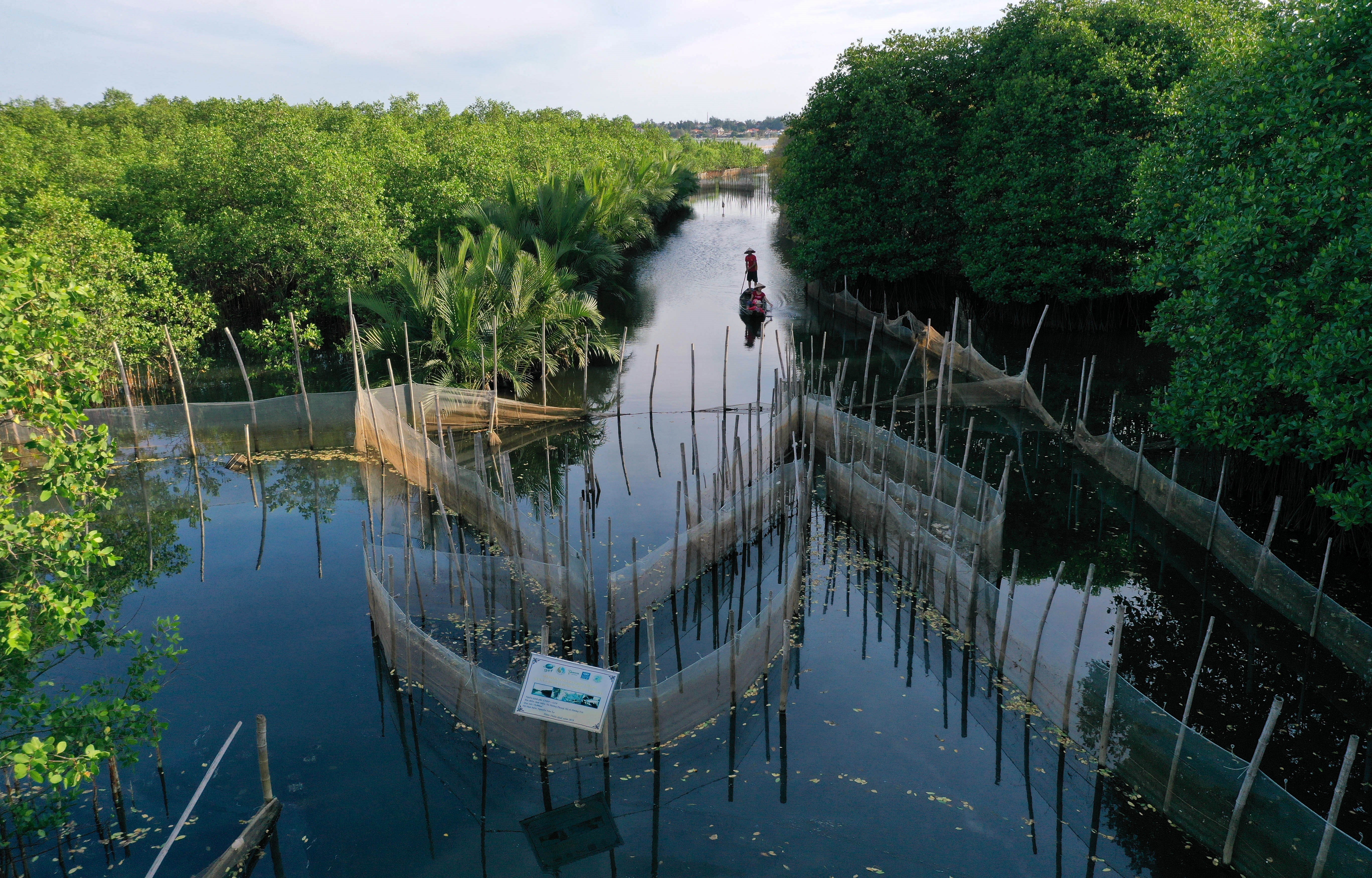 Rừng ngập mặn Rú Chá, Thừa Thiên-Huế. (Ảnh: Hồ Cầu/TTXVN)