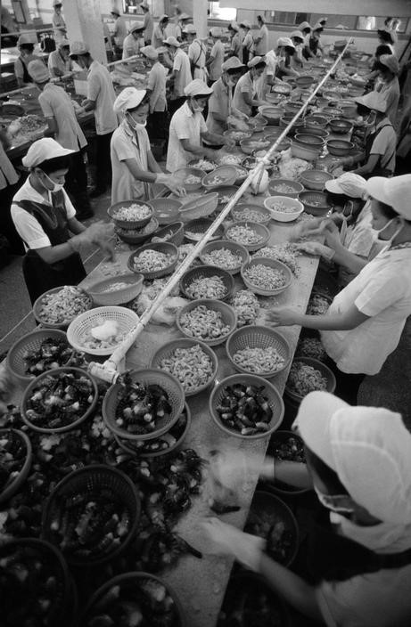 Завод по производству замороженных продуктов № 1, на котором производится переработка морепродуктов на экспорт, создал 3.300 рабочих мест. В 1987 году завод продал 2.400 тонн рыбы в Японию и Австралию на общую сумму 21 млн. долларов США. (Фото: из архива ВИА)