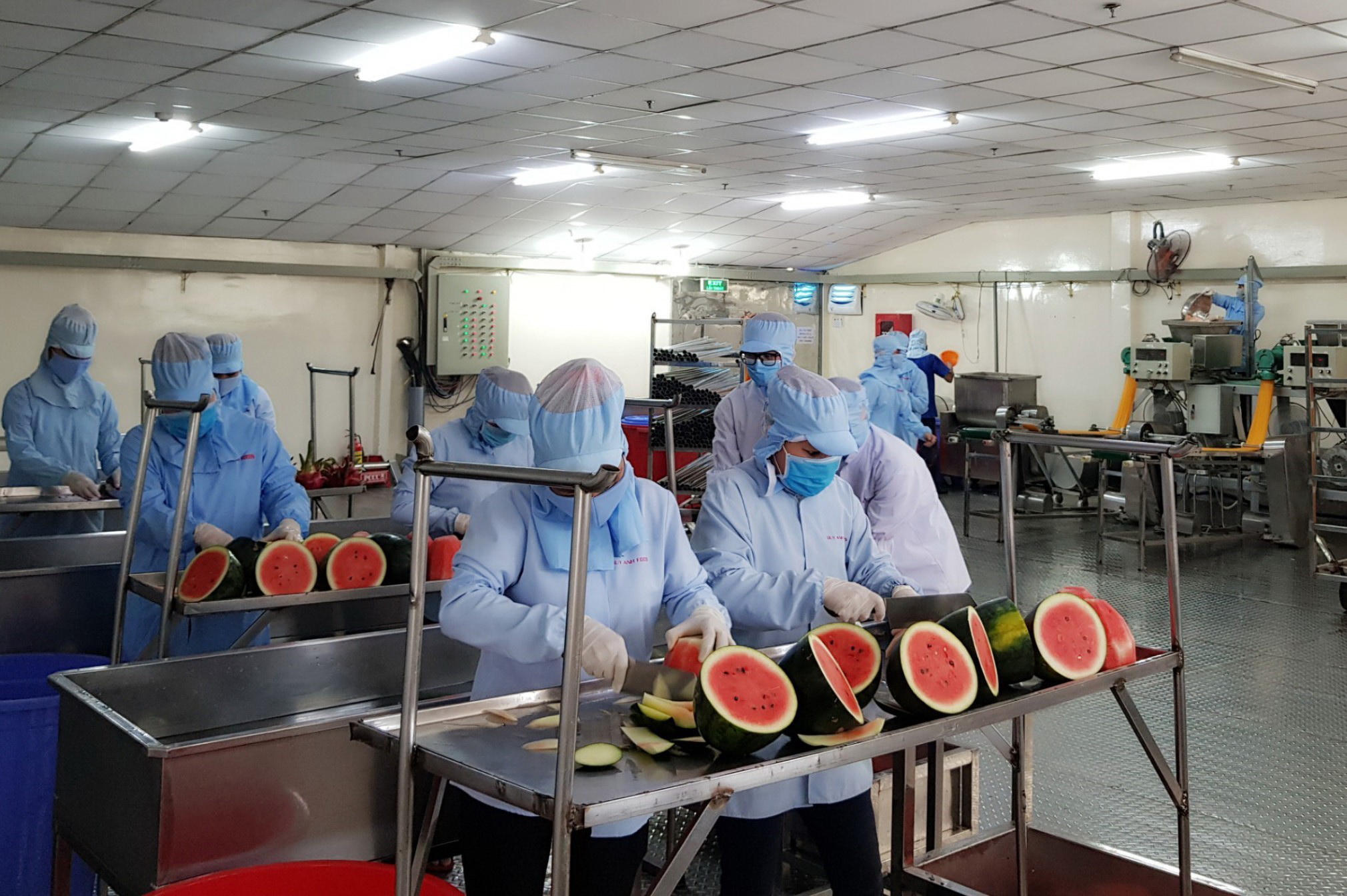 Производство вермишеля на соке арбуза в компании “Зуи-ань”. (Фото: ВИА)