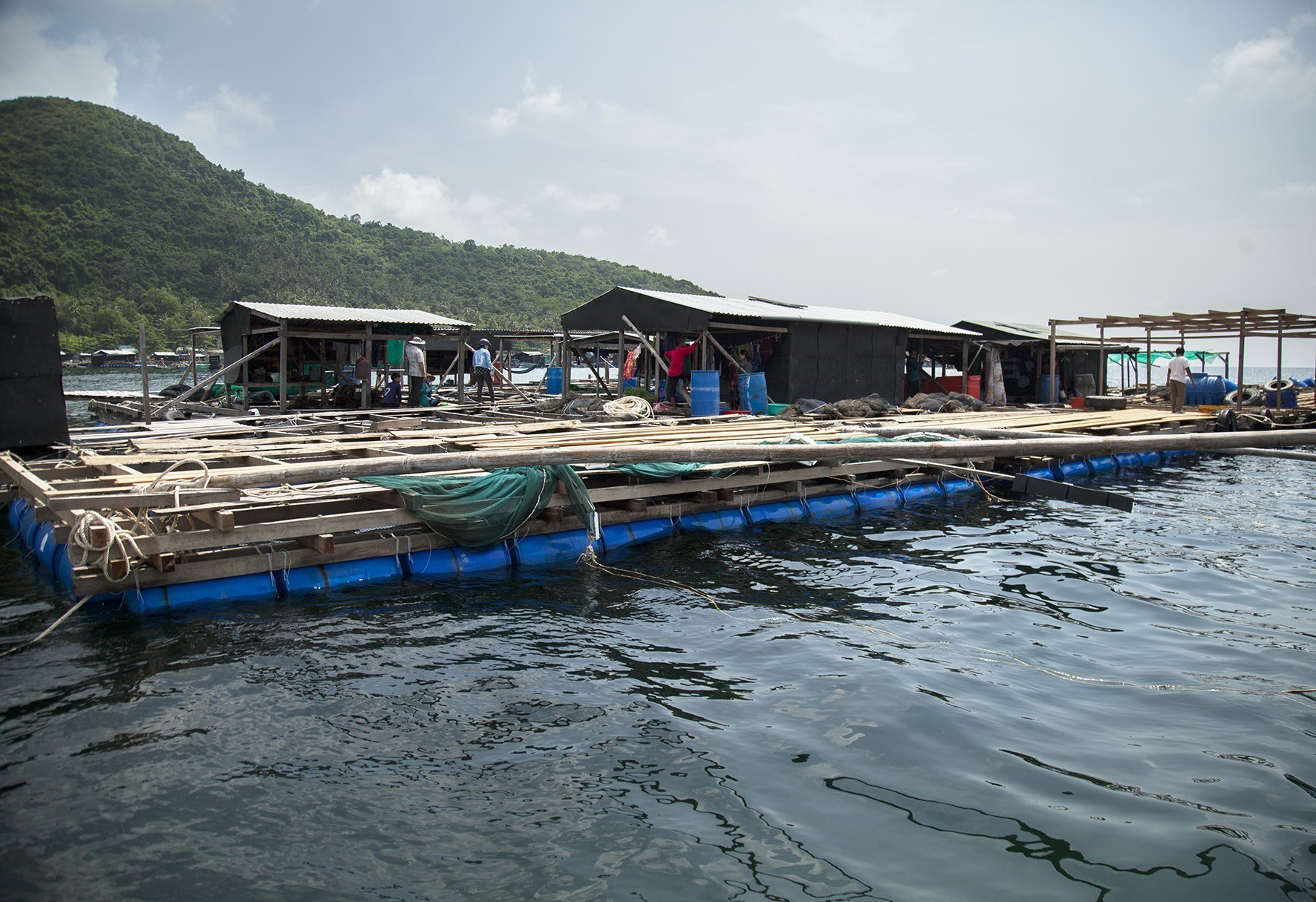 Ферма по разведению рыб на море в провинции Киенжанг. (Фото: Хонг Дат/ВИА)
