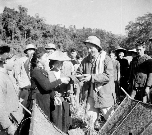 Президент Хо Ши Мин посещает крестьян в провинции Баккан, которые собирают зимний рис в 1950 году. (Фото: из архива ВИА)      