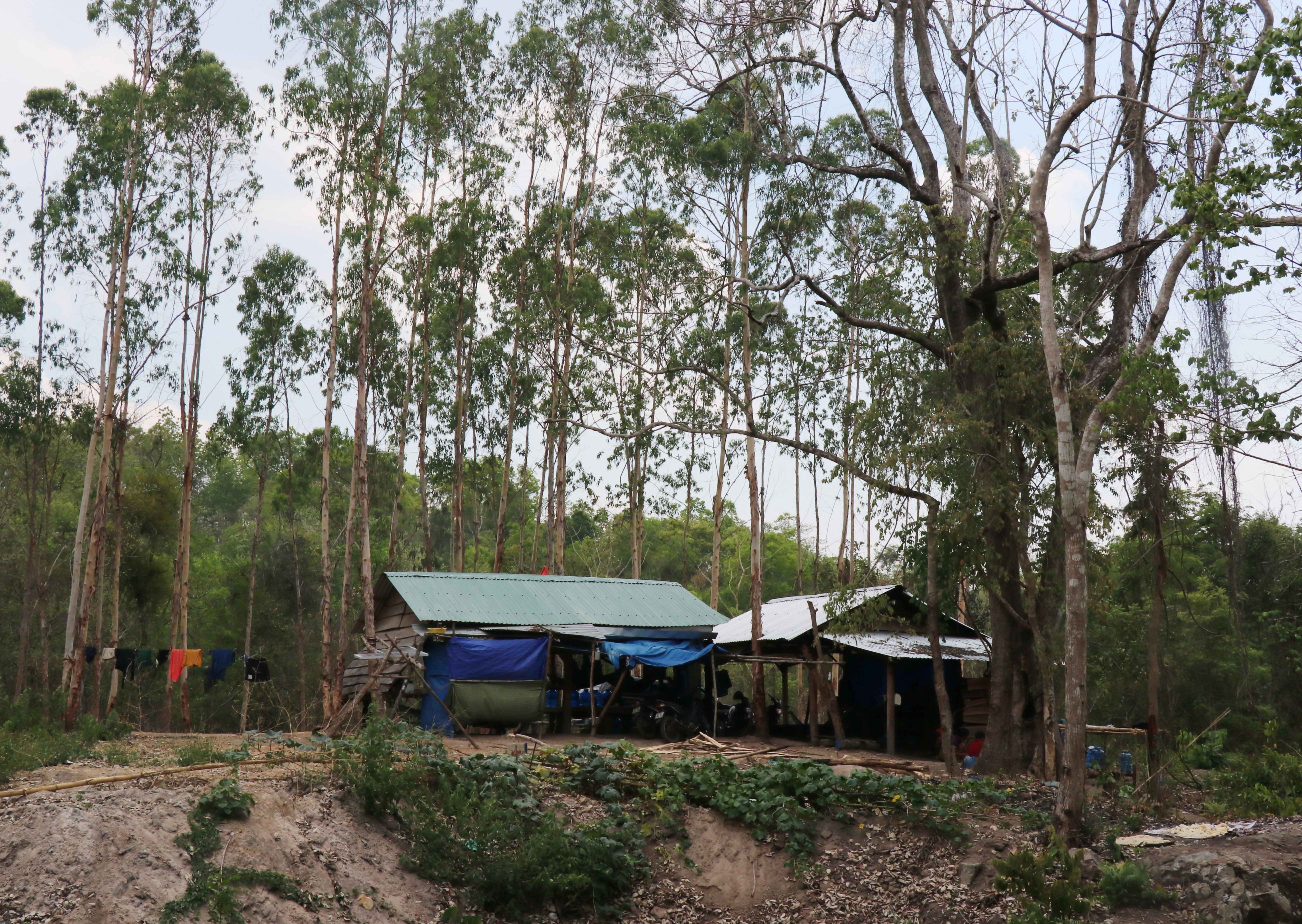 Một lán tạm của lực lượng quản lý bảo vệ rừng Khu bảo tồn thiên niên Ea Sô (huyện Ea Kar, tỉnh Đắk Lắk).  (Ảnh: Tuấn Anh/ TTXVN)