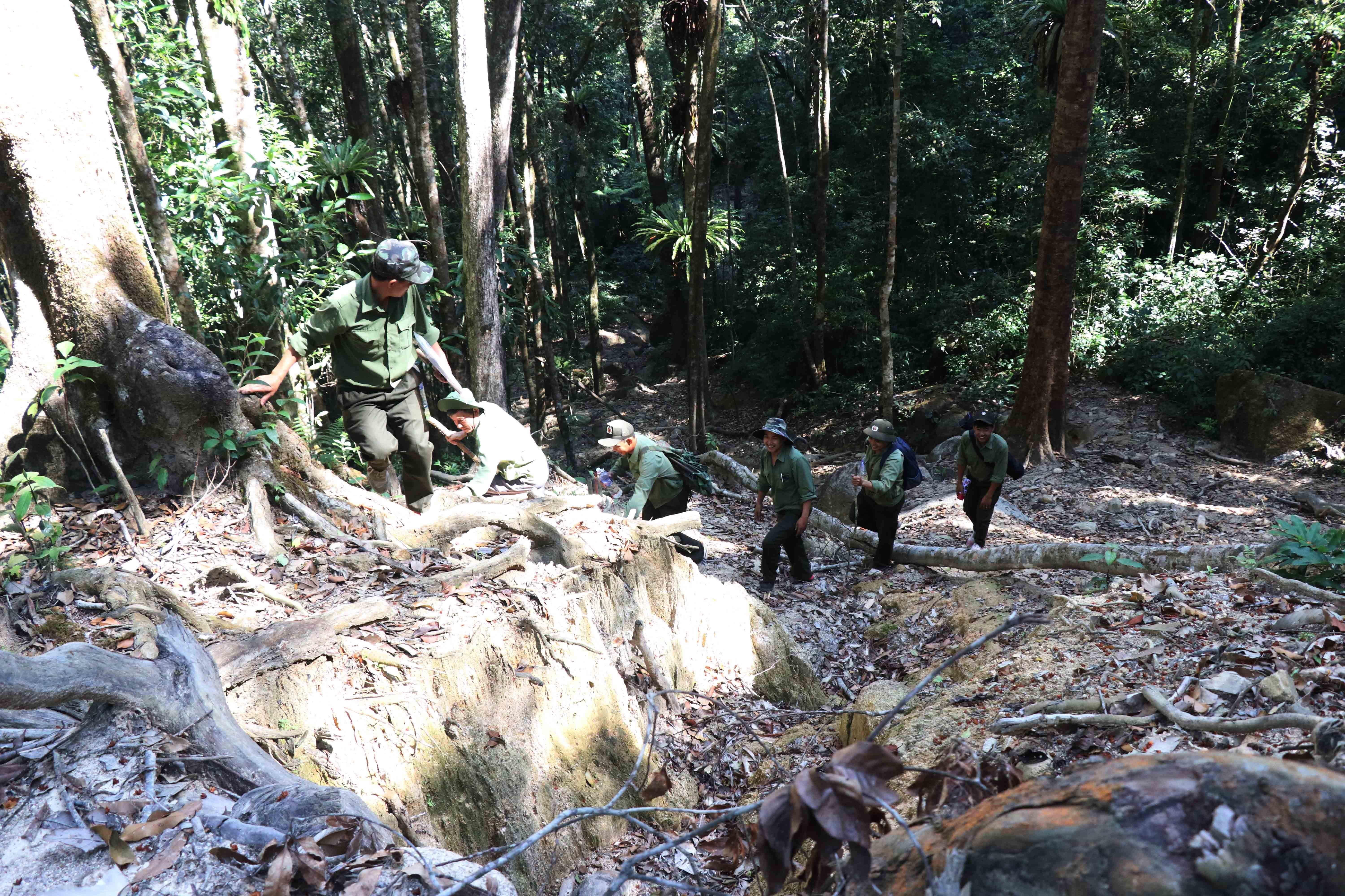 Lực lượng quản lý bảo vệ rừng của Công ty TNHH MTV Lâm nghiệp Krông Bông (huyện Krông Bông) gặp nhiều khó khăn trong tuần tra bảo vệ rừng. (Ảnh: Tuấn Anh/TTXVN)