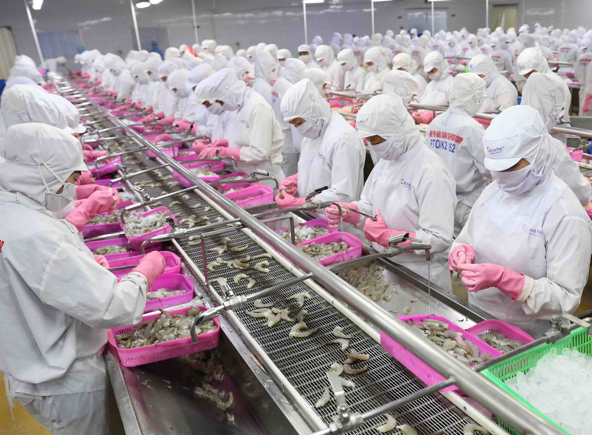 Dây chuyền chế biến sản phẩm tôm xuất khẩu tại nhà máy của Tập đoàn Thủy sản  Minh Phú tỉnh Cà Mau. (Ảnh: Vũ Sinh/TTXVN)