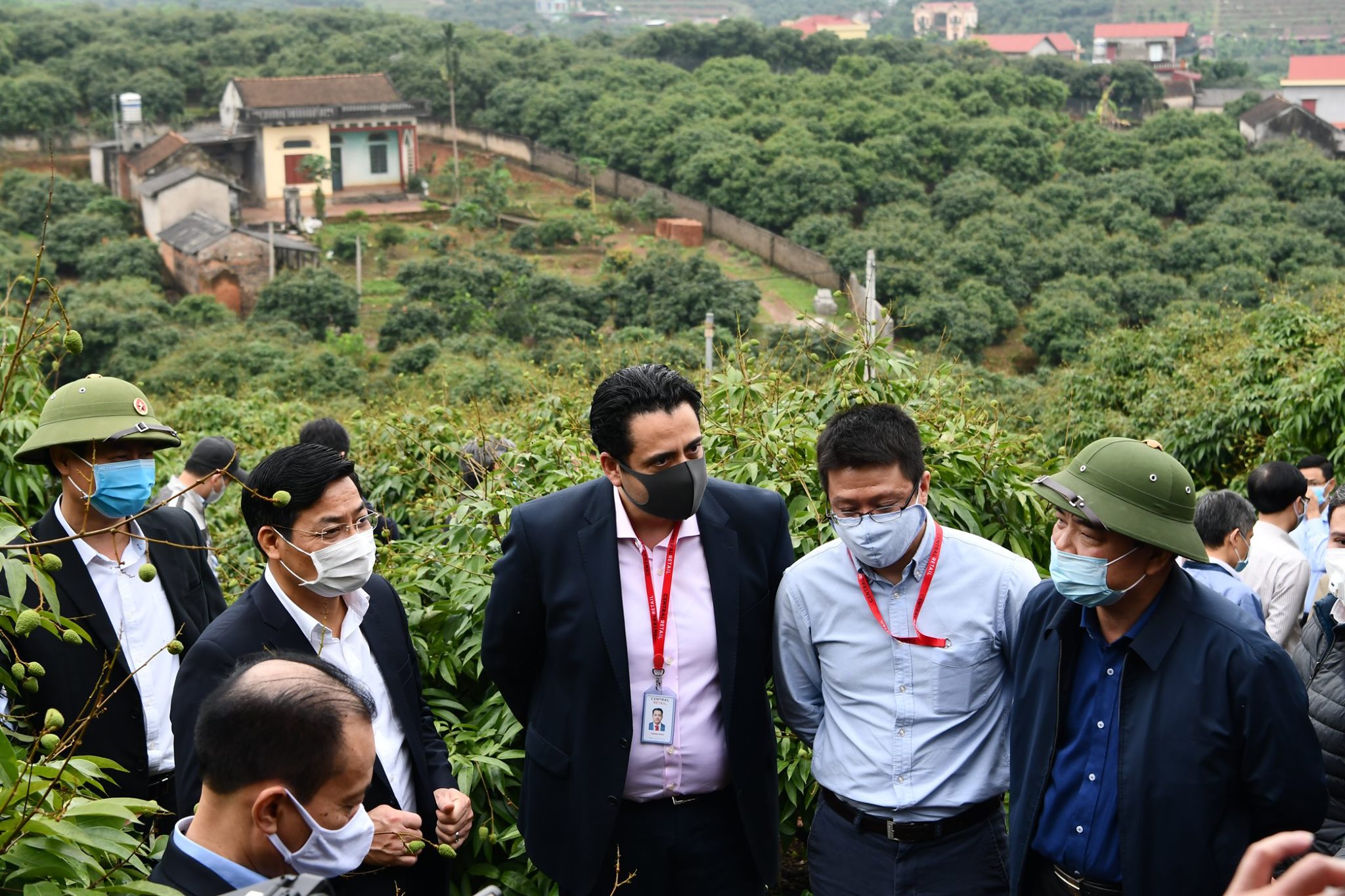 Chủ tịch UBND tỉnh Bắc Giang cùng Bộ trưởng Bộ Nông nghiệp và Phát triển nông thôn đi thăm diện tích vải thiều xuất khẩu sang thị trường Nhật Bản 