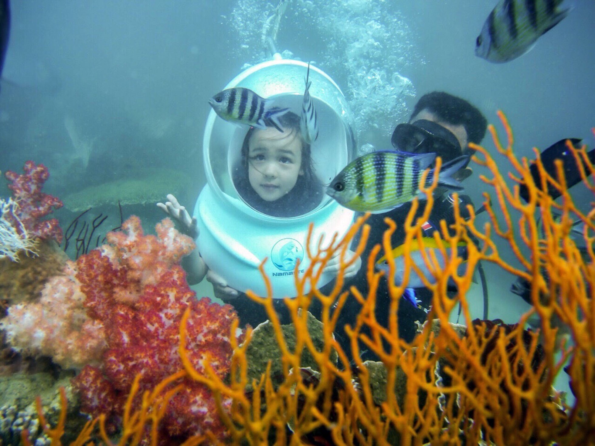 Du khách tham quan dưới đáy biển ngắm san hô tại vùng biển Phú Quốc. (Nguồn: TTXVN)
