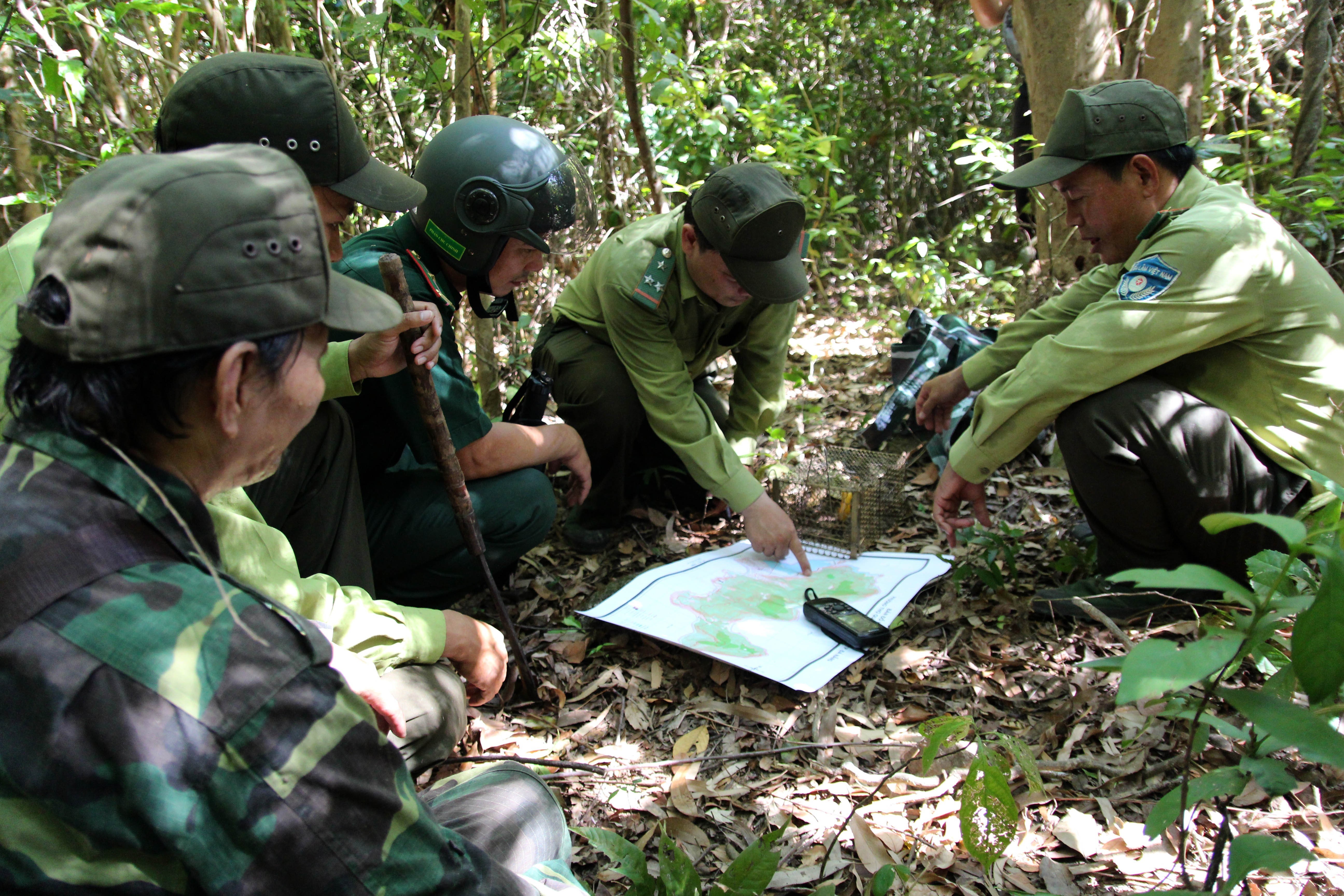 Đội tuần tra liên ngành Bảo vệ rừng, Phòng cháy chữa cháy rừng quận Sơn Trà xác định khu vực thường xuyên có bẫy thú. (Ảnh: Quốc Dũng/TTXVN)