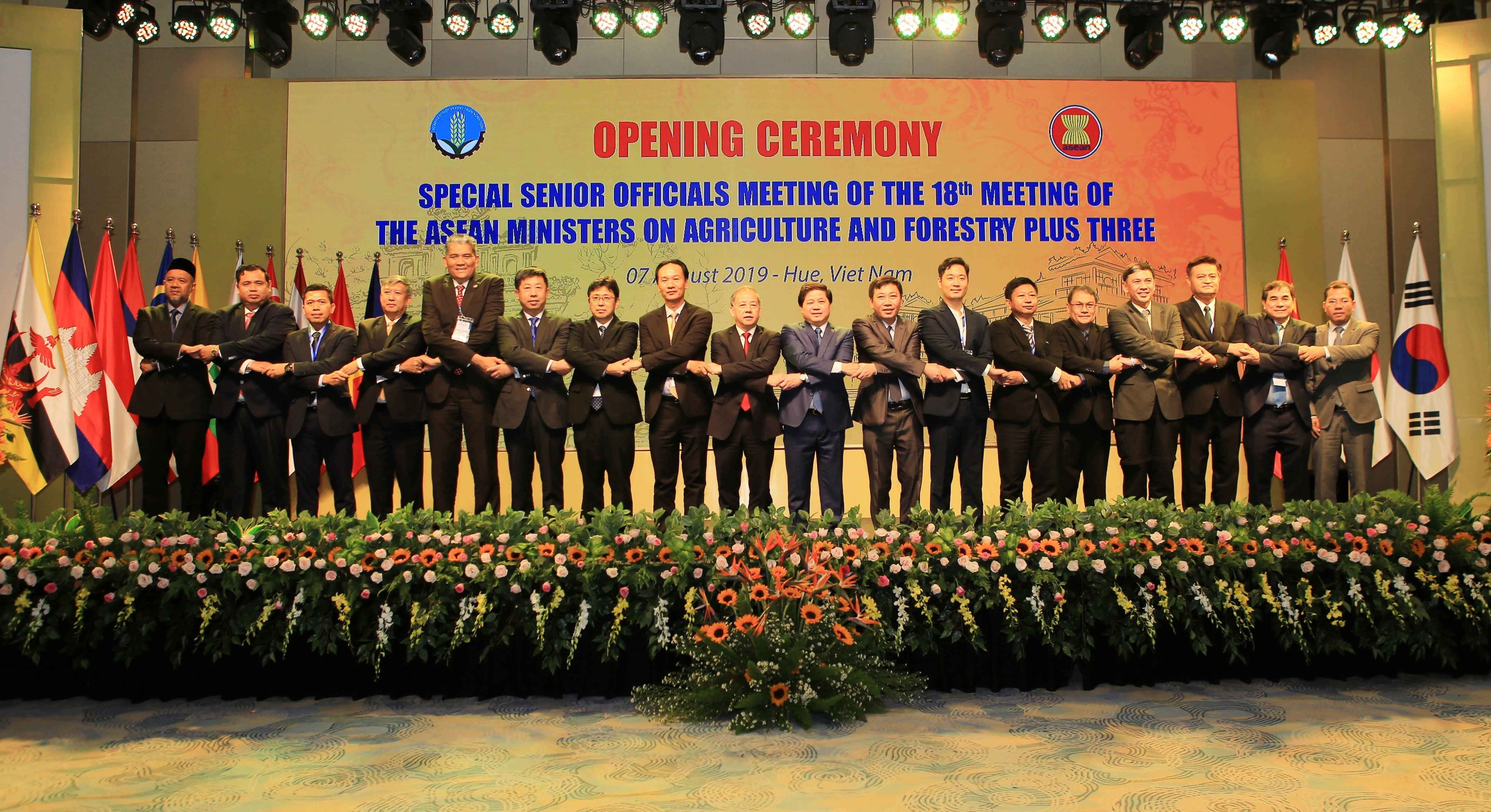 Hội nghị đặc biệt các quan chức cấp cao nông lâm nghiệp AMAF ASEAN+3 lần thứ 18 cùng các đối tác chiến lược Trung Quốc, Nhật Bản và Hàn Quốc, ngày 7/8/2019, tại thành phố Huế. (Ảnh: Hồ Cầu/TTXVN)