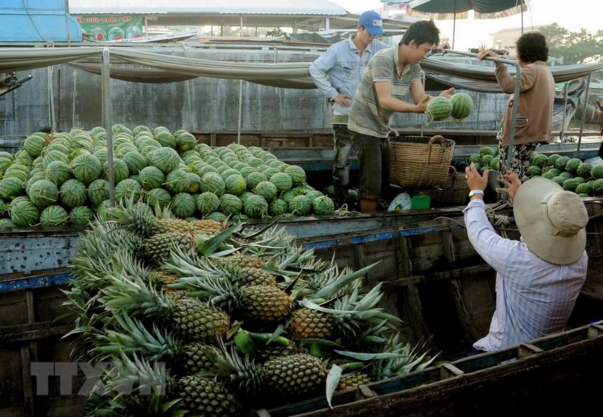 Trái cây là mặt hàng đặc trưng được người dân mua bán nhiều nhất tại Chợ nổi Cái Răng. (Ảnh: An Hiếu/TTXVN)