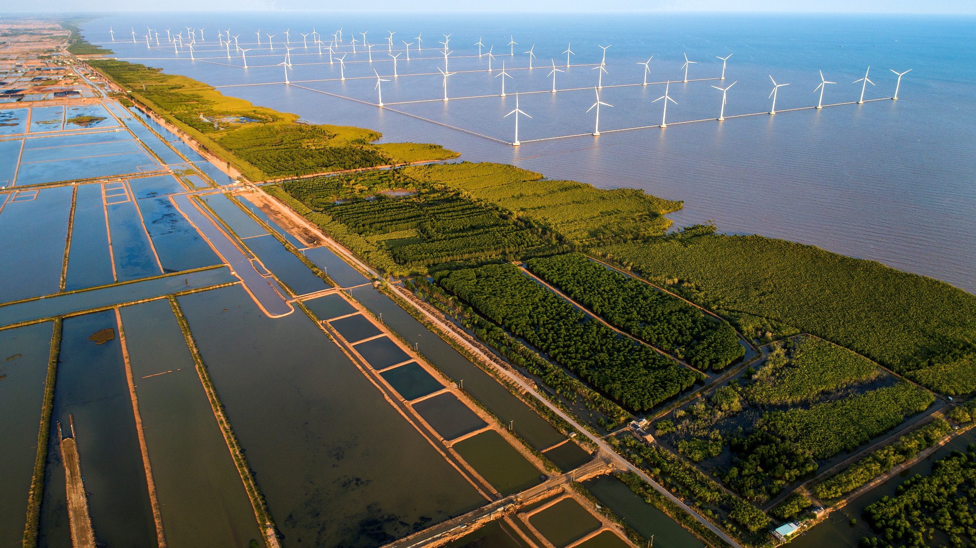 Desarrollo de los proyectos de energía renovables en Vietnam (Fuente: Ministerio de Recursos naturales y Medio ambiente de Vietnam)