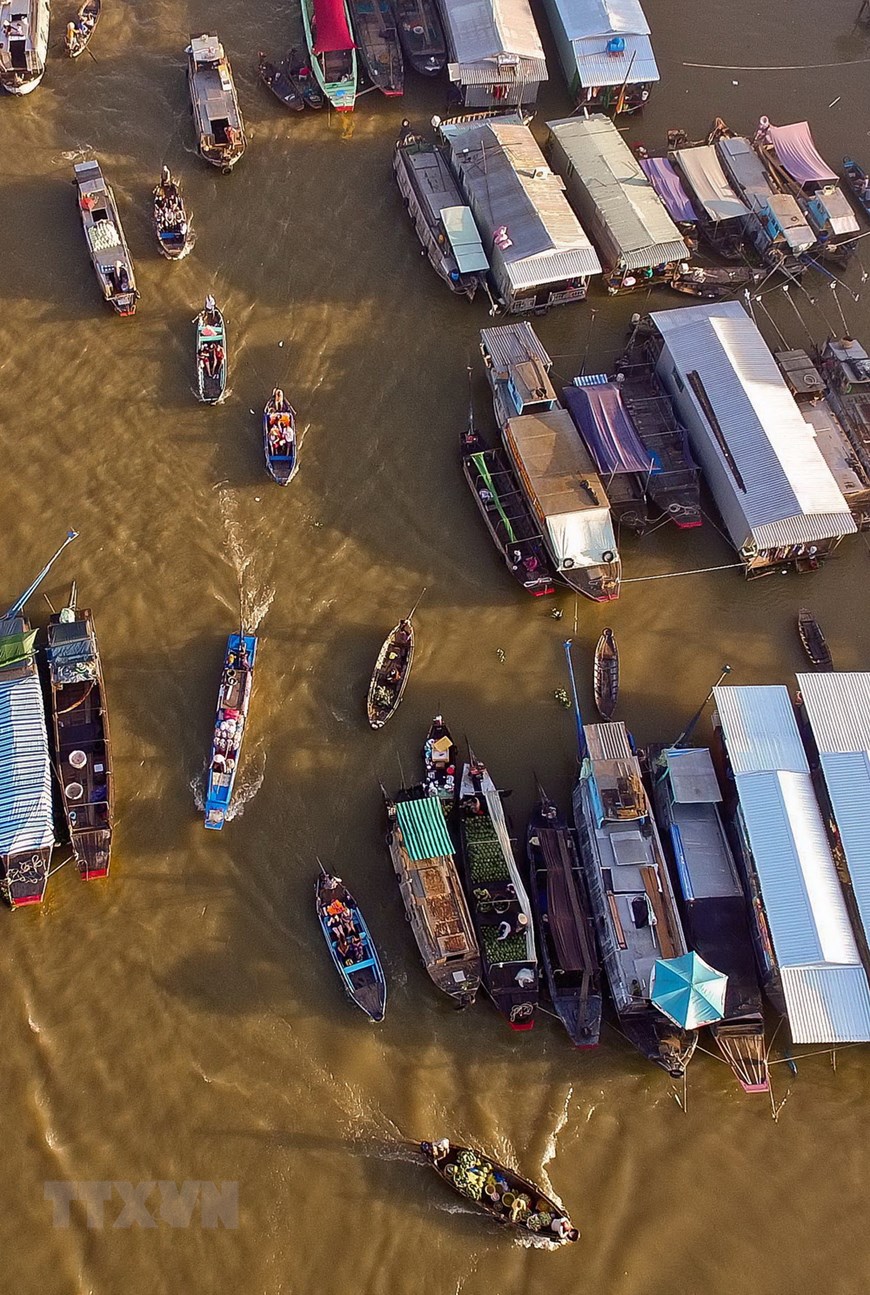 Cai Rang Floating Market is located on Cai Rang River, about 6km from the heart of Can Tho city. To reach the market by waterway, it takes about 30 minutes from Ninh Kieu wharf in the district of the same name. (Photo: VNA)