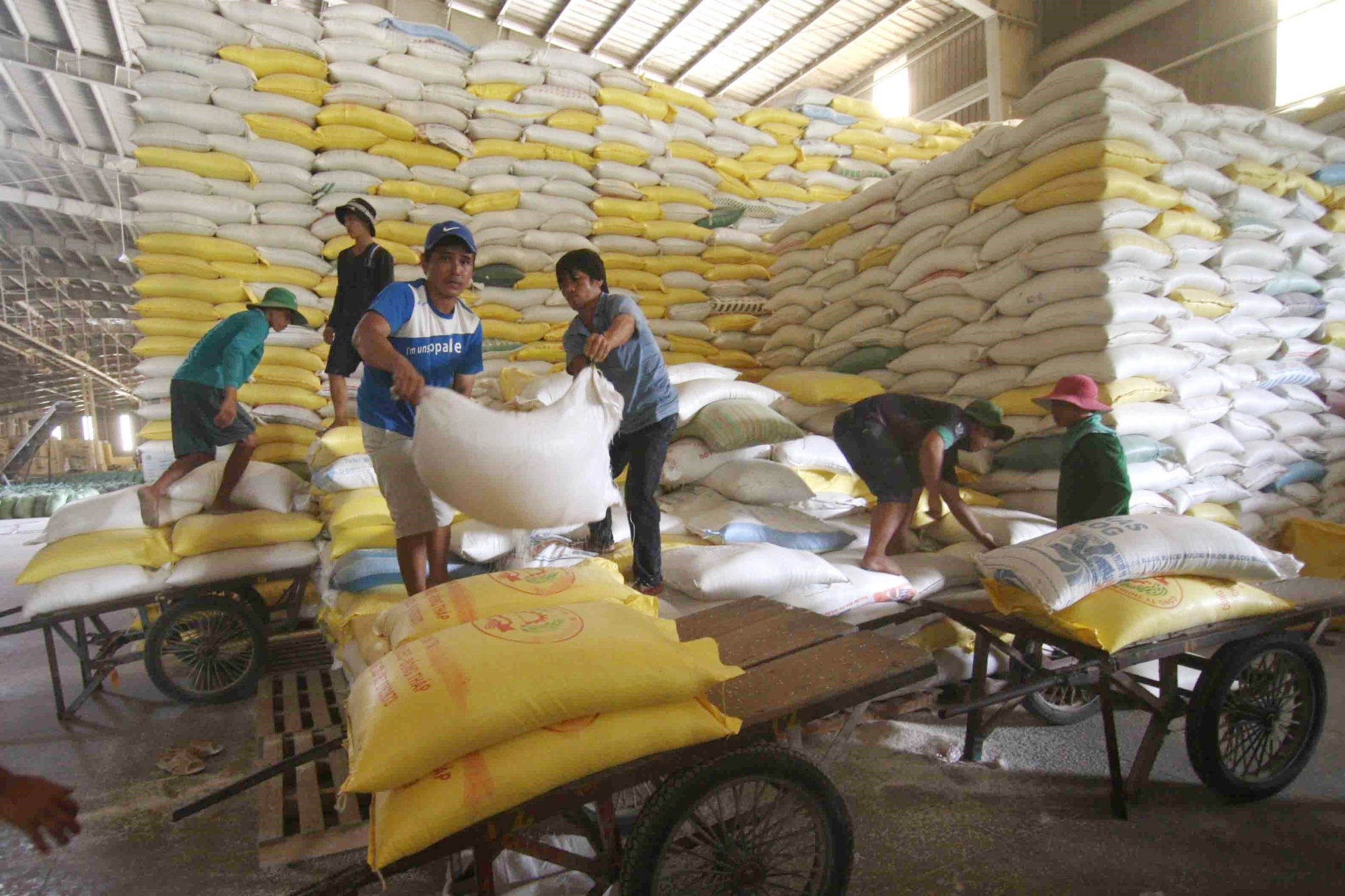 Подготовка риса для экспорта в продовольственной компании “река Хау”. (Фото: ВИА)